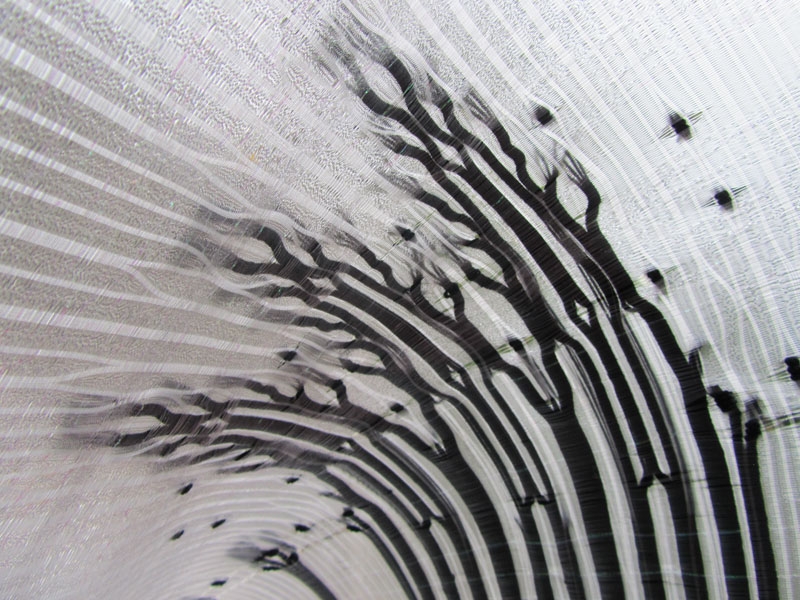 Paris Meets X-Ray Fabric©: Rita Parniczky » The Weave Shed